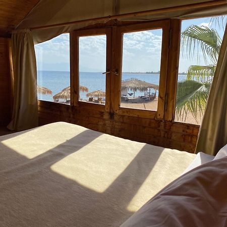 Nuweiba Lodge Bagian luar foto